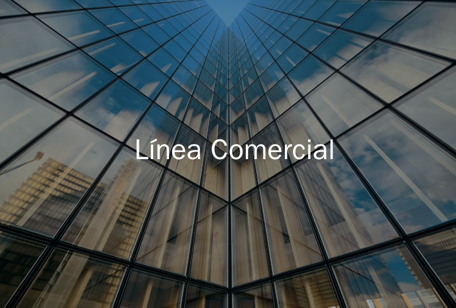 Proyecto central
